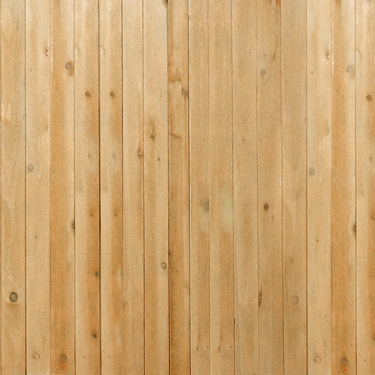 PETEDDY2-FLOOR_media-01